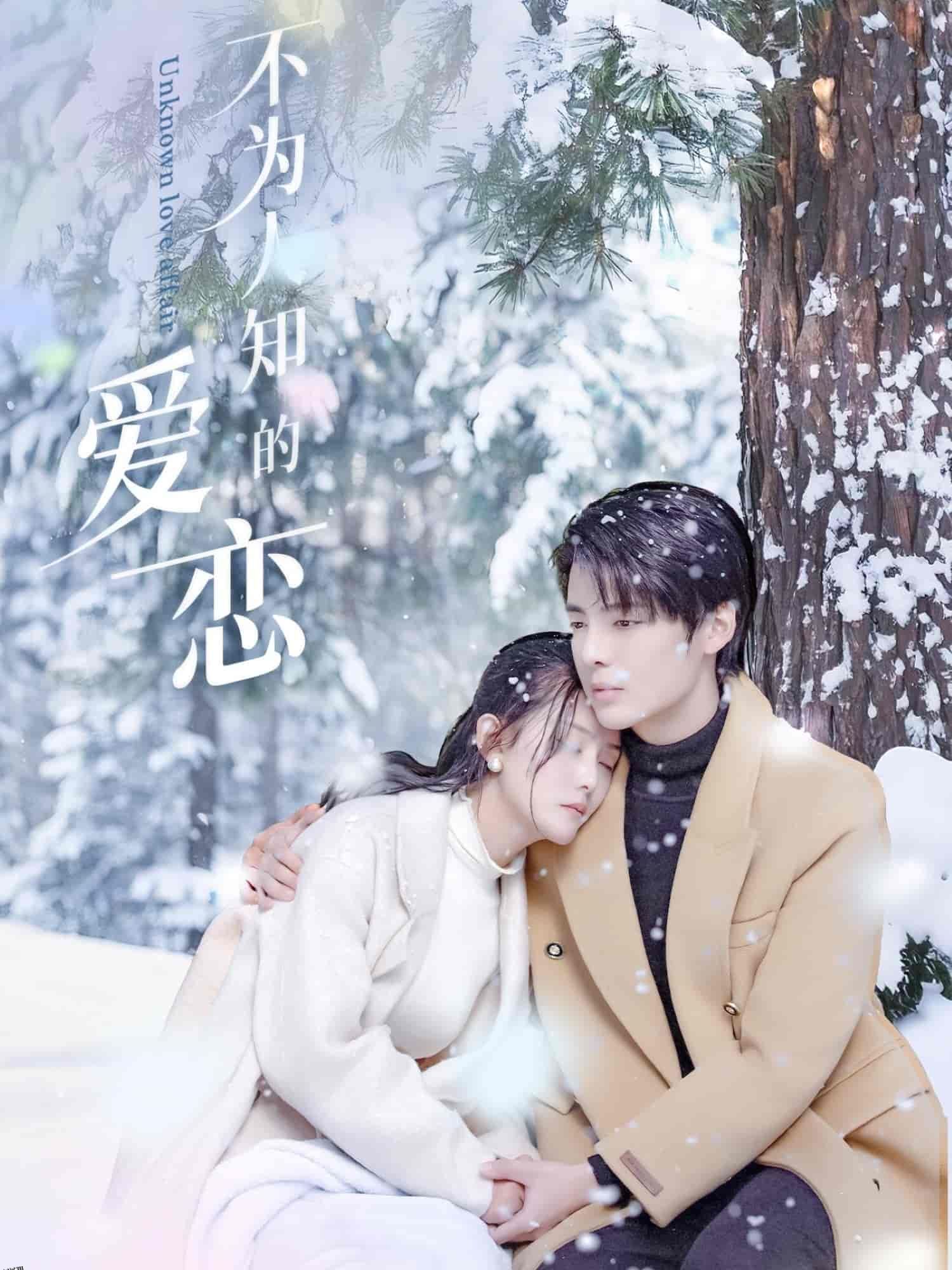 不为人知的爱恋 海报