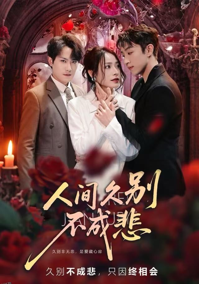 人间久别不成悲 海报