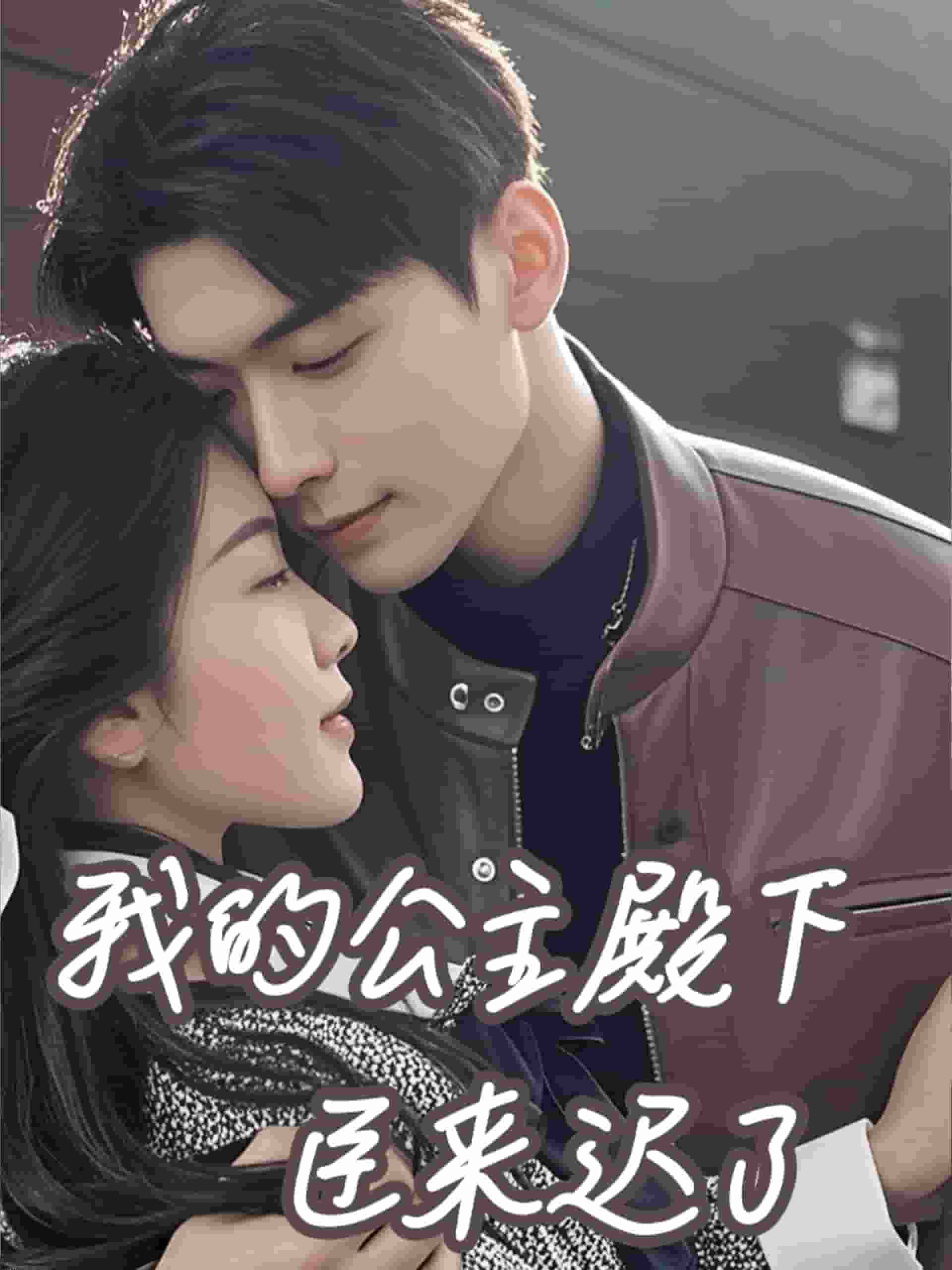 我的公主殿下臣来迟了 海报