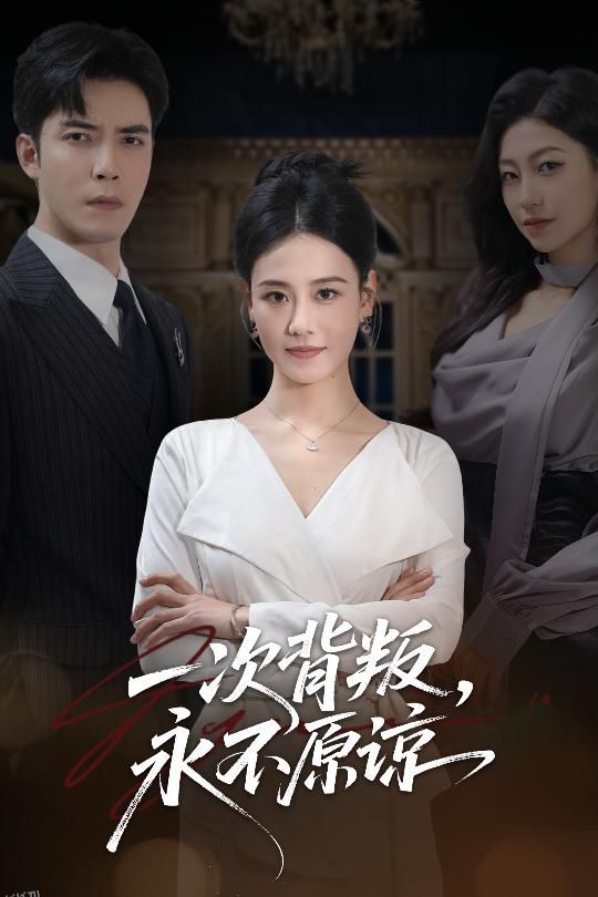 一次背叛，永不原谅 海报