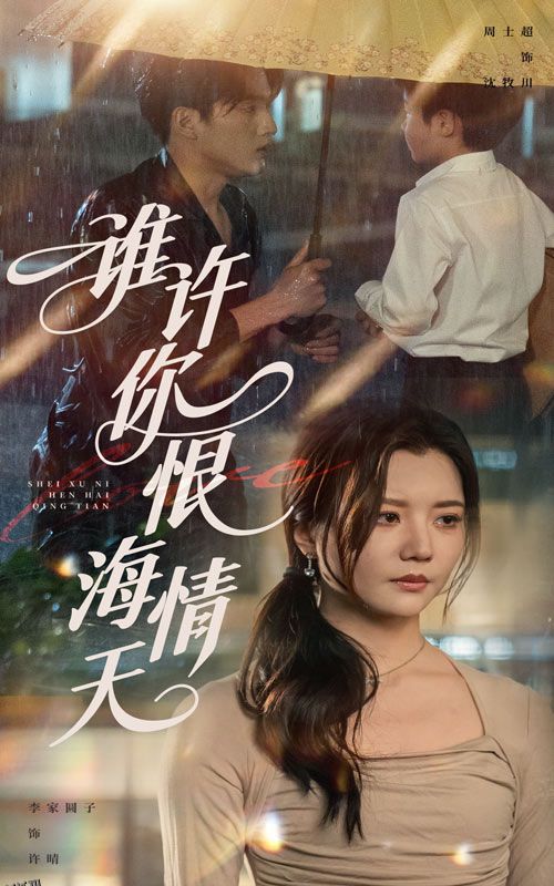 谁许你恨海情天 海报