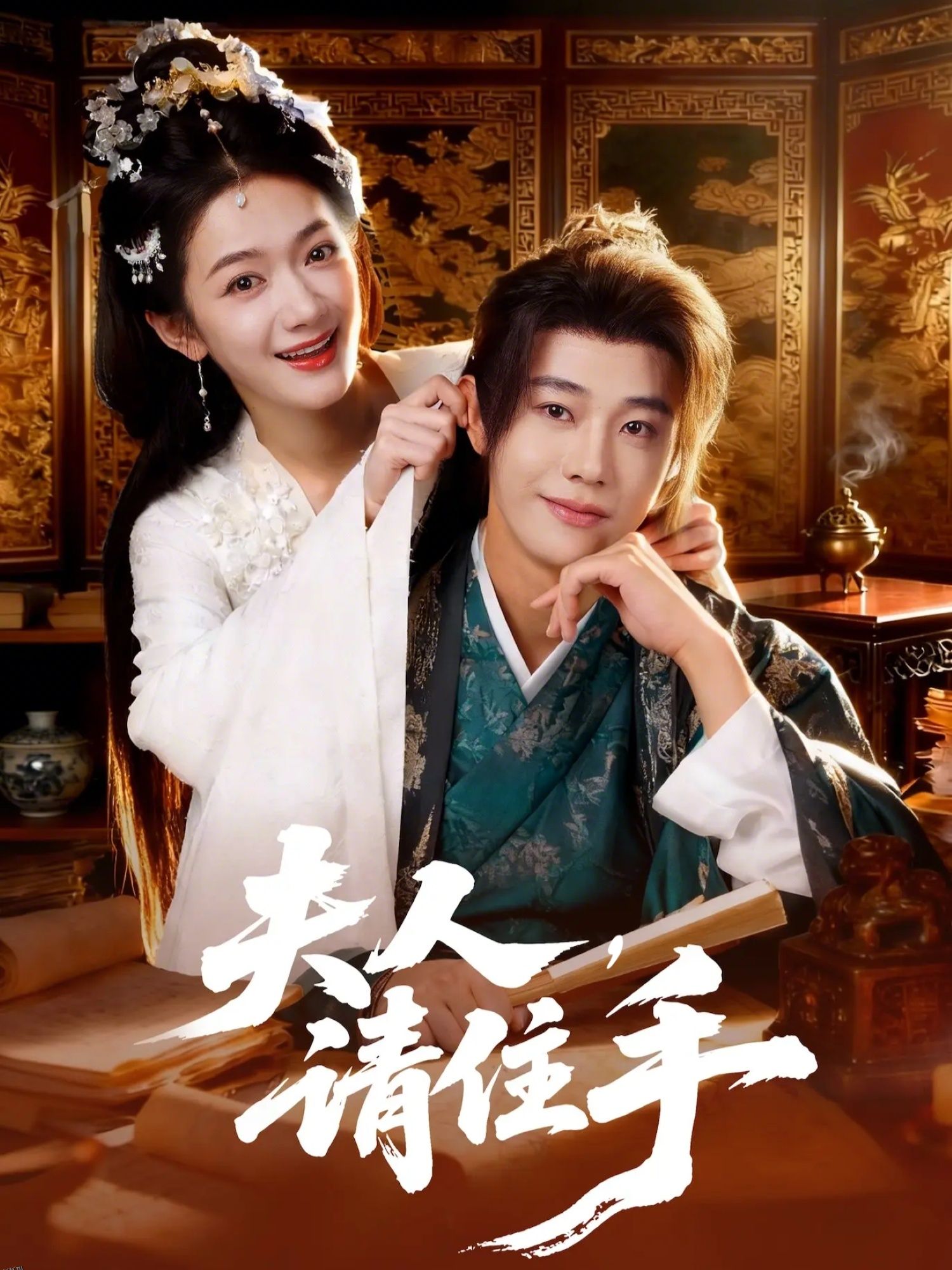 夫人，请住手 海报