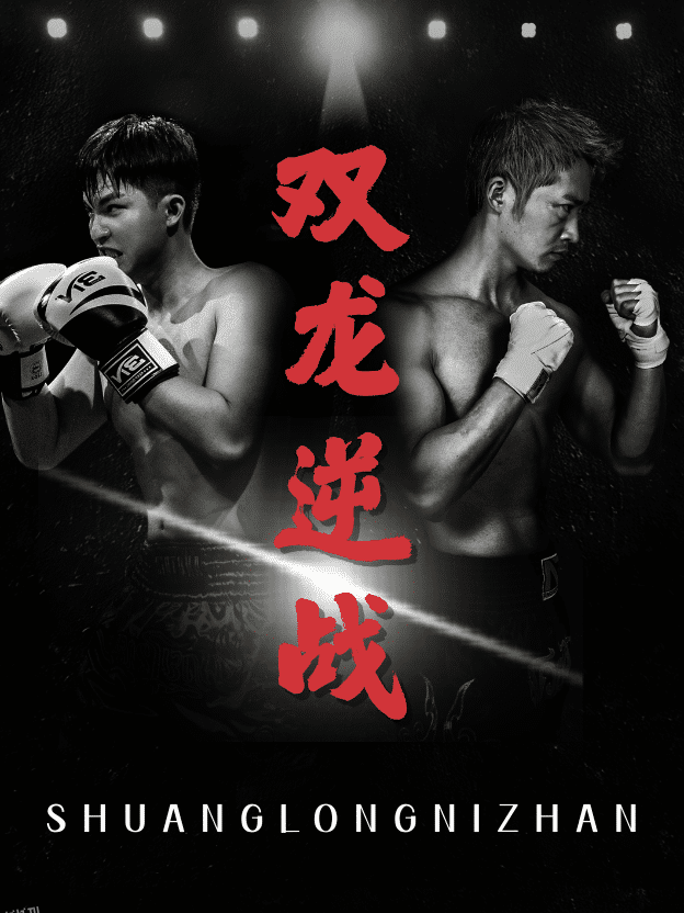 拳王之父子双龙 海报
