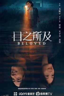 目之所及 高清海报