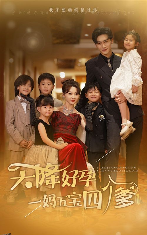 天降好孕，一妈五宝四个爹 海报