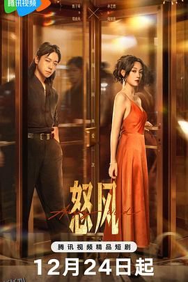怒风 海报