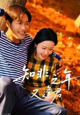 知非之年又逢君 海报