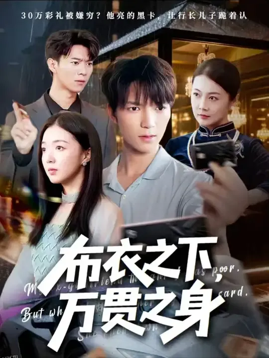布衣之下万贯之身 海报