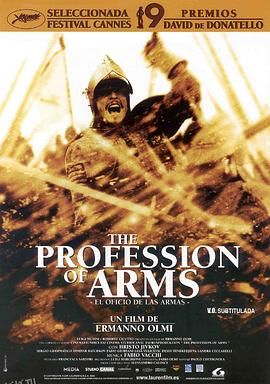 职业武器 海报