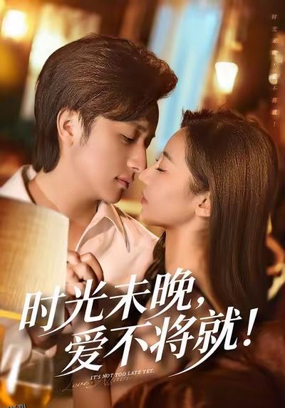 时光未晚爱不将就 海报