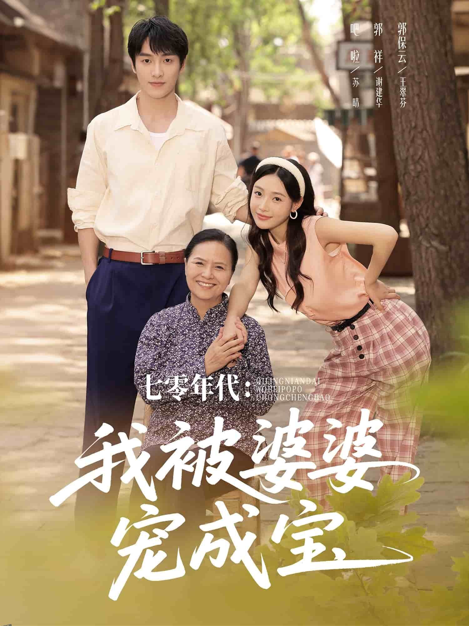 七零年代我被婆婆宠成宝 海报