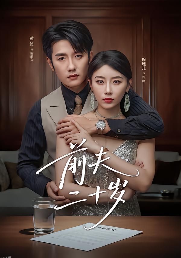 前夫二十岁 海报