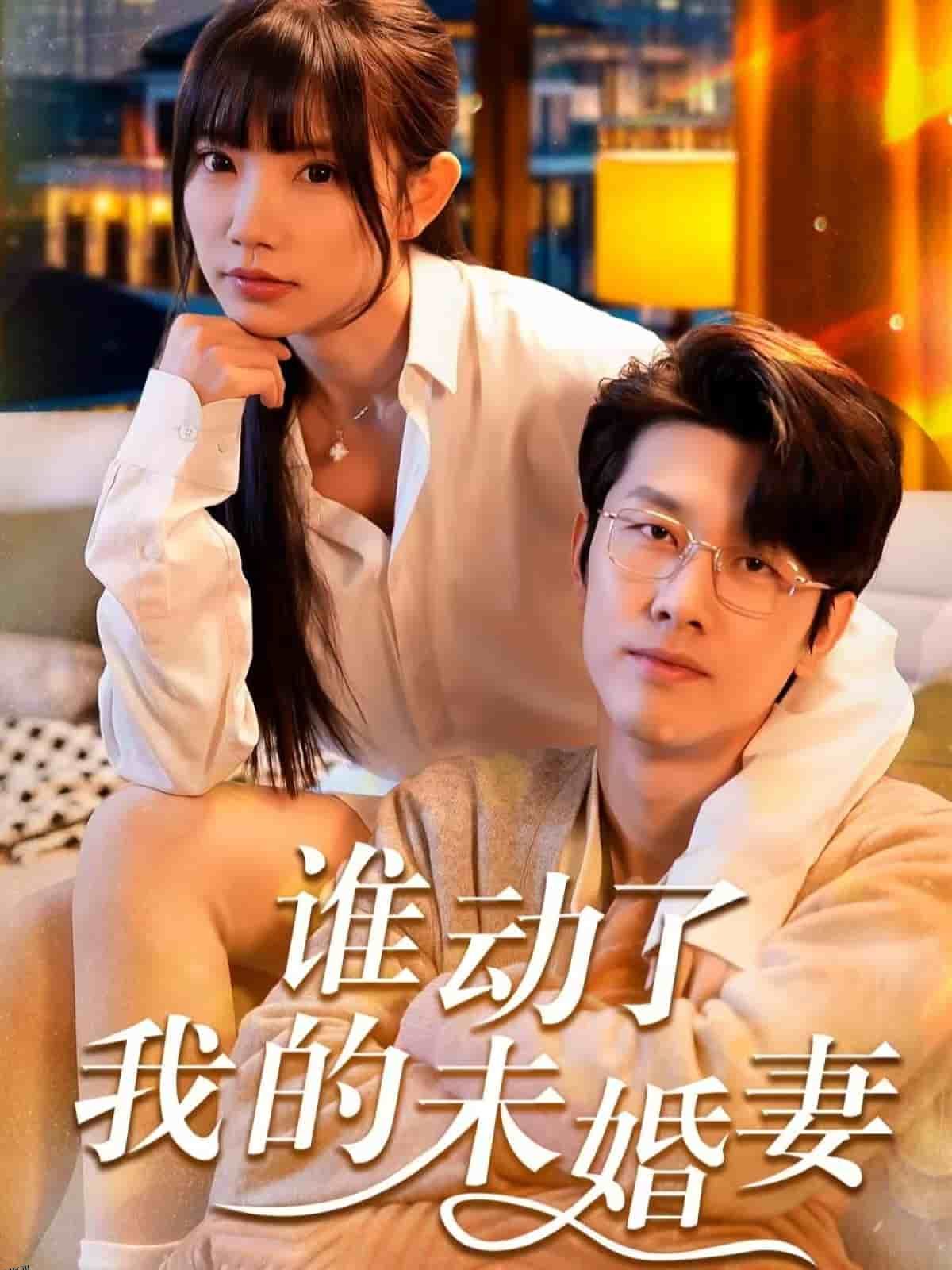 谁动了我的未婚妻 海报