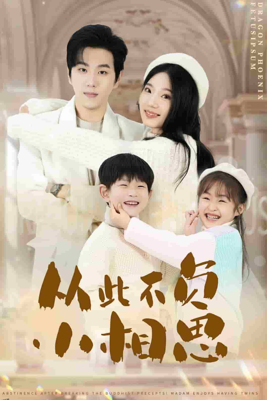 从此不负小相思 海报