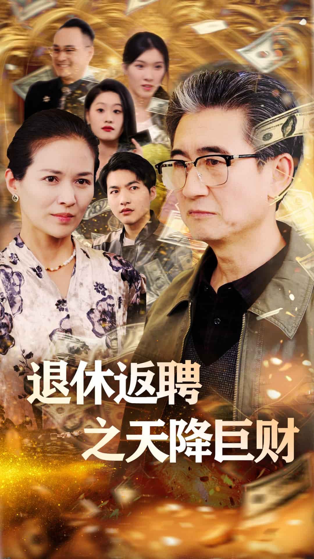 退休返聘之天降巨财 海报