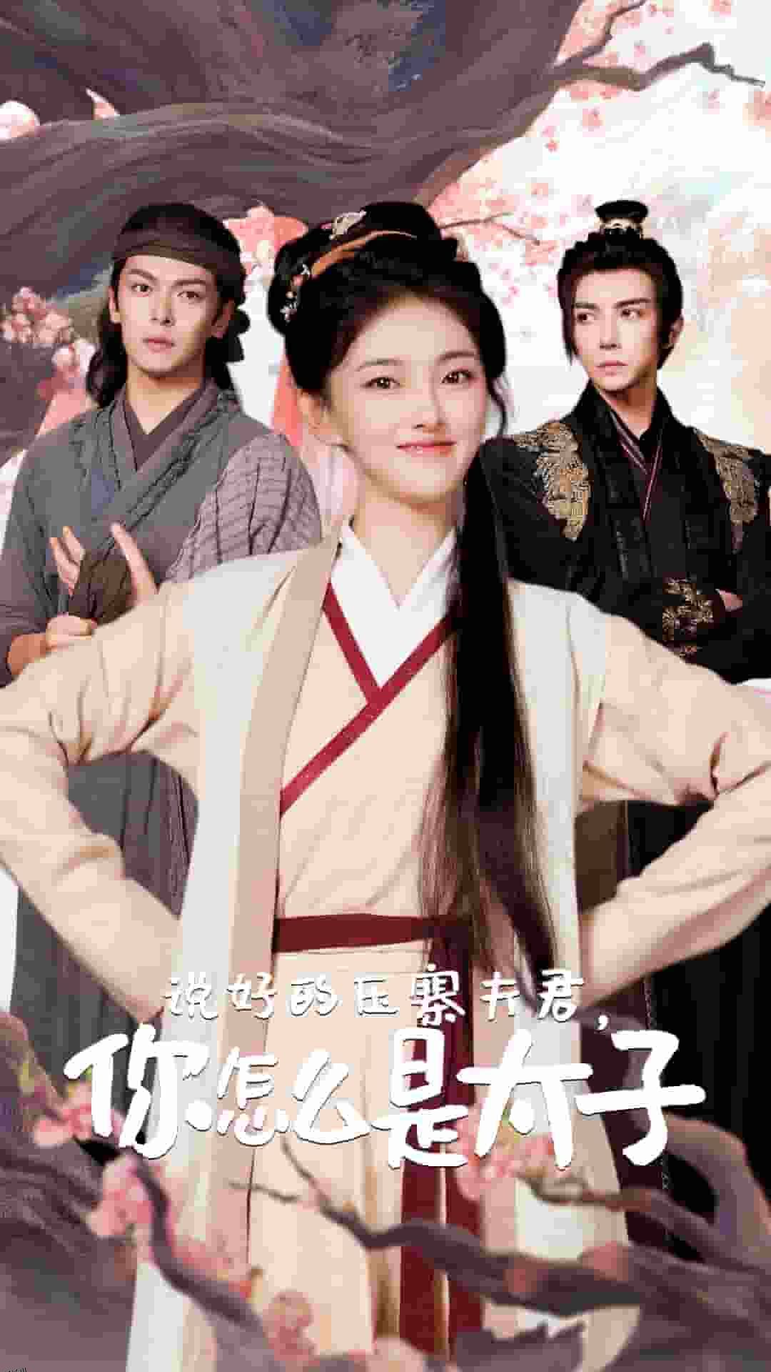 说好的压寨夫君，你怎么是太子 海报