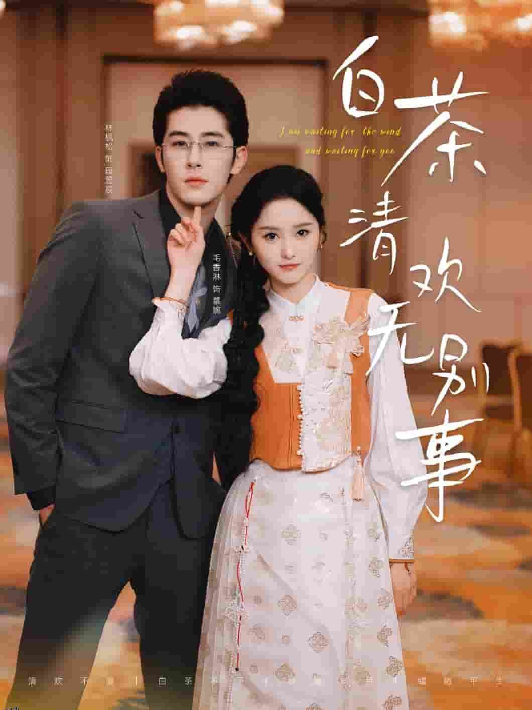 白茶清欢无别事 高清海报