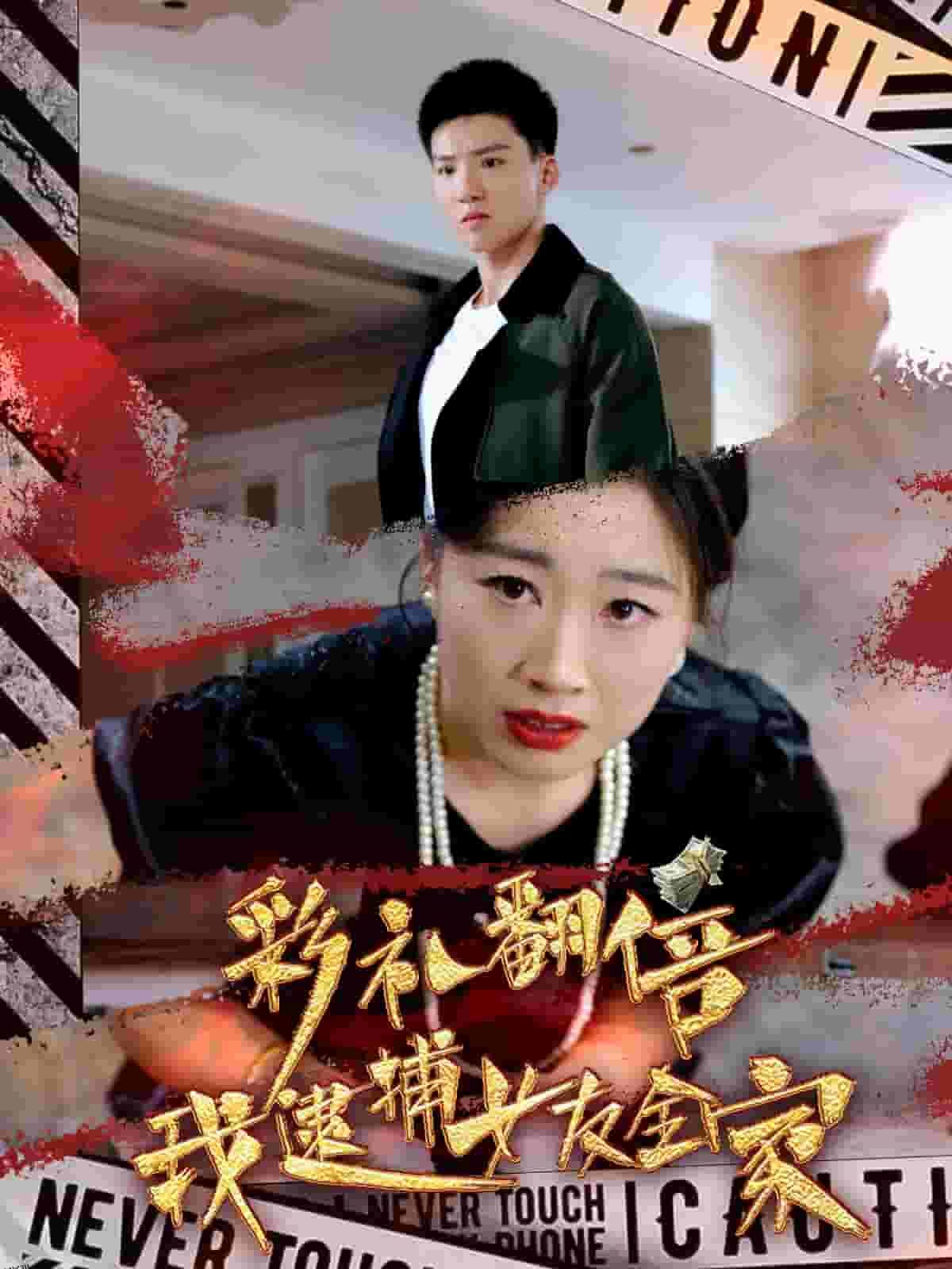 彩礼翻倍我逮捕女友全家 海报