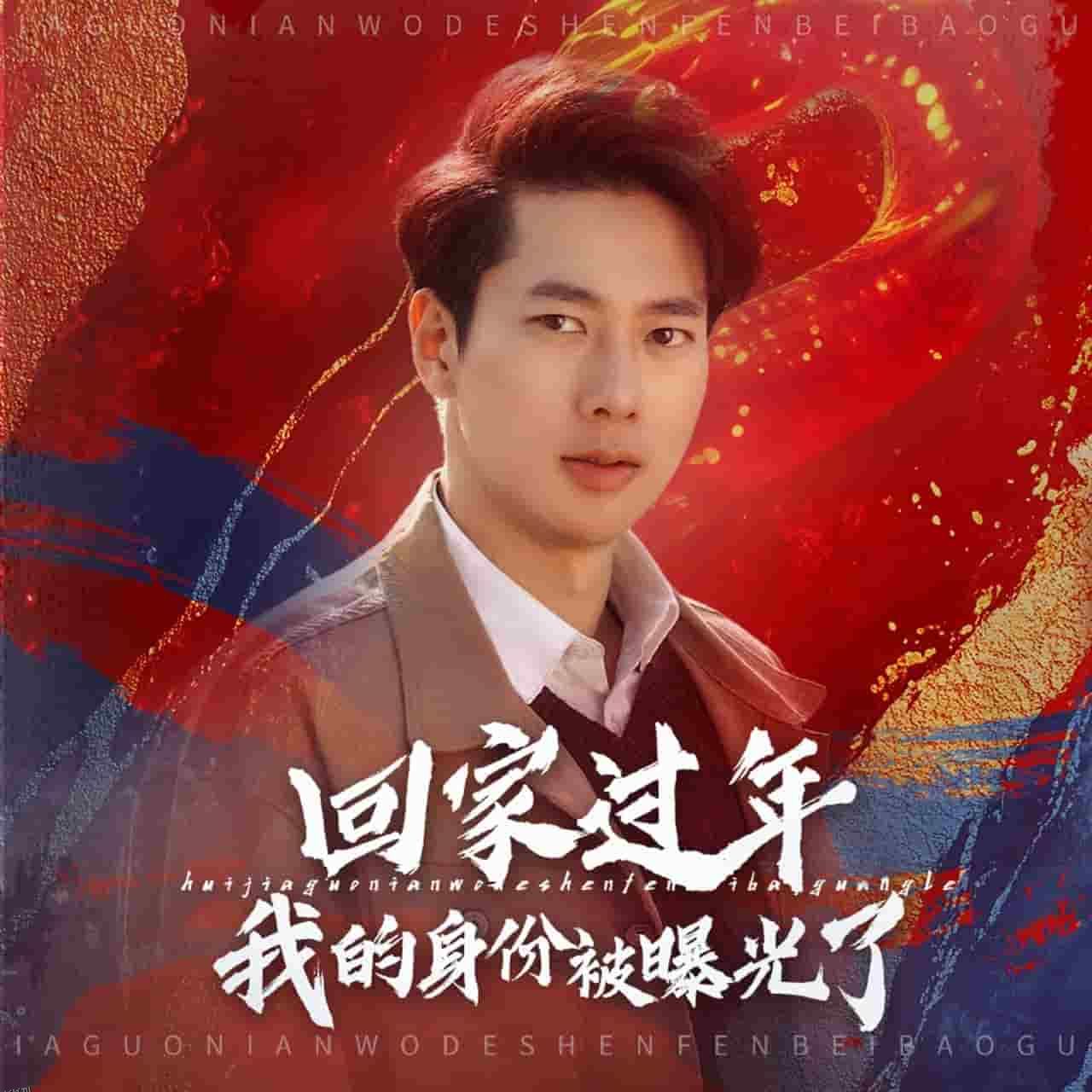 回家过年我的身份被曝光了 海报