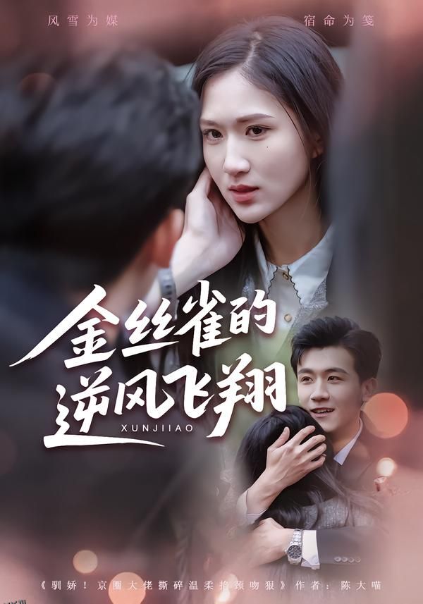 金丝雀的逆风飞翔 海报