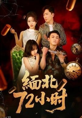 缅北72小时 海报