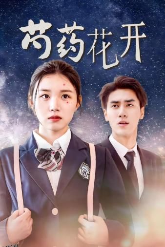 火光中的芍药花 海报