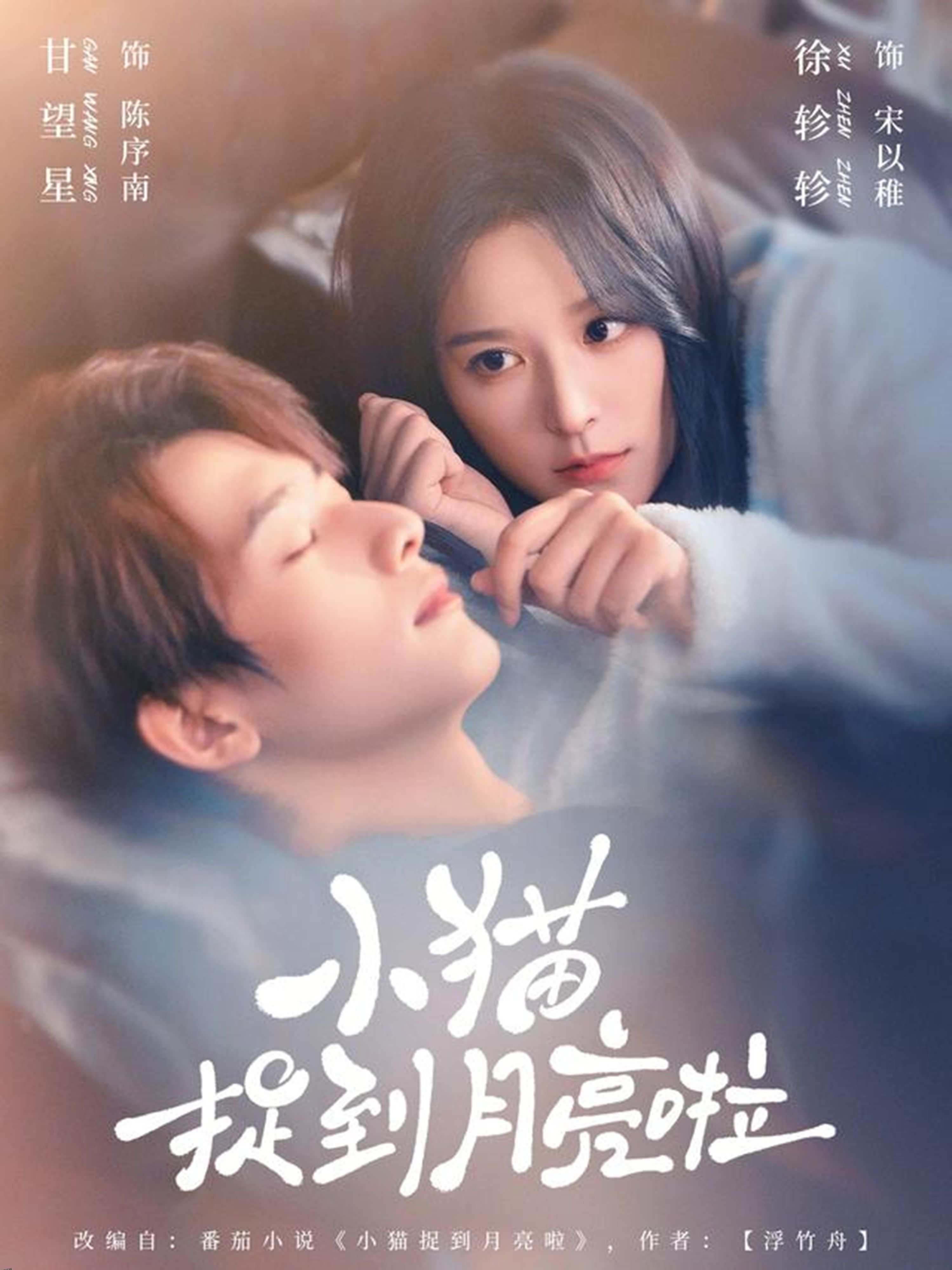 小猫捉到月亮啦 海报