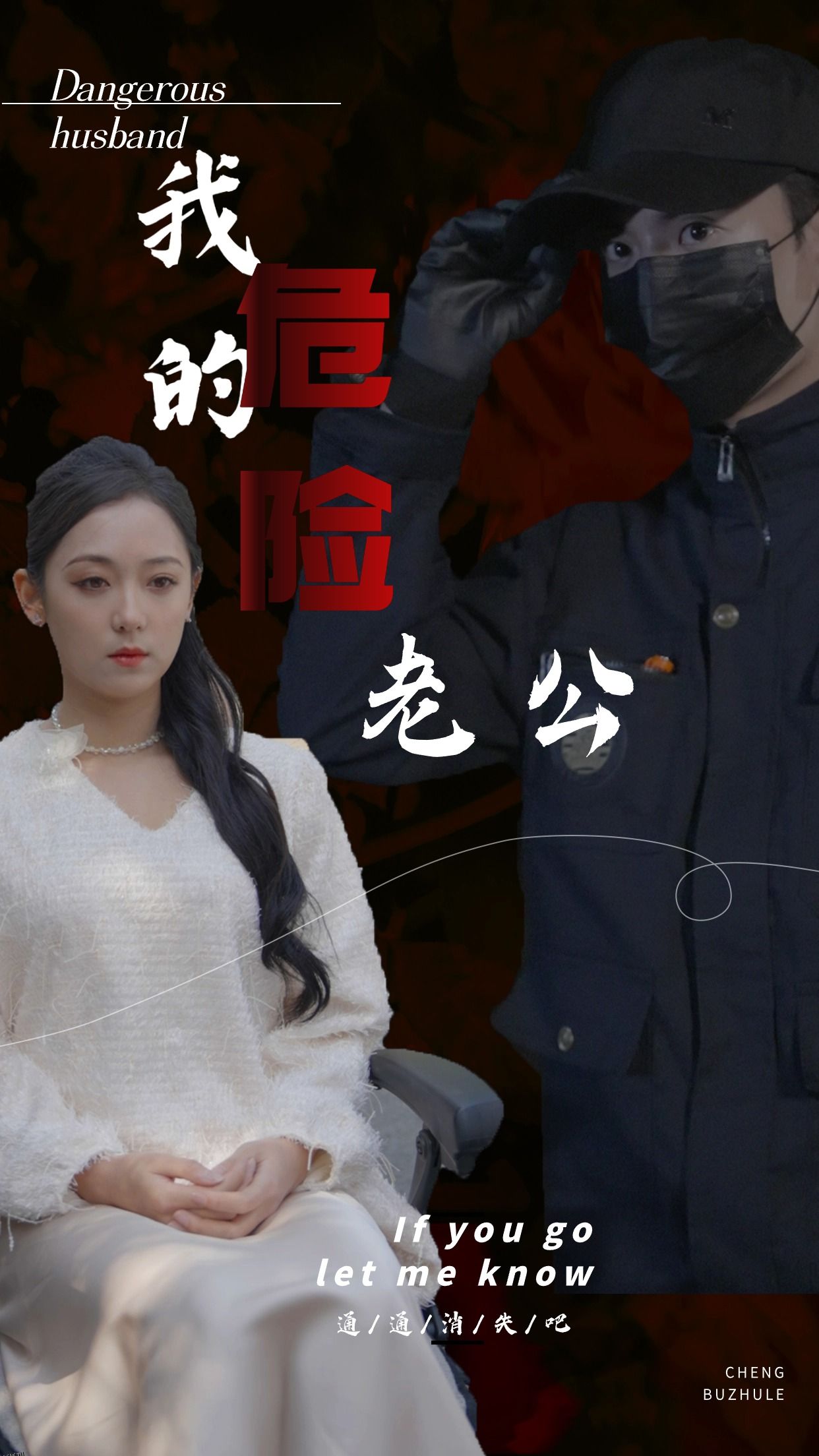 我的危险老公 海报