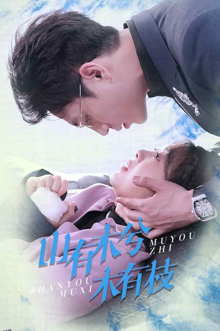 山有木兮木有枝 海报