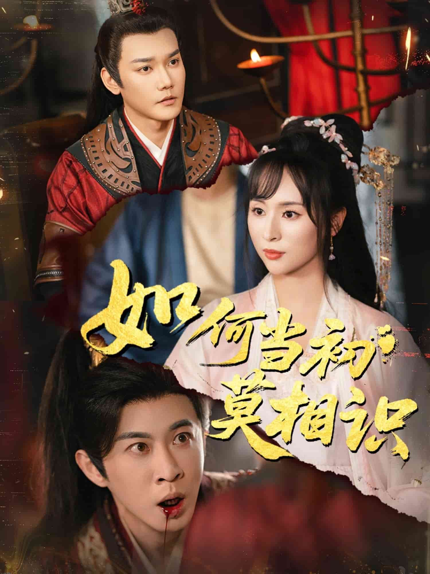 如何当初莫相识 海报