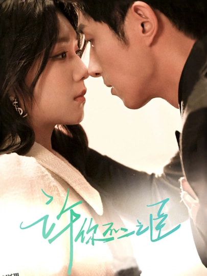 许你不二之臣 海报