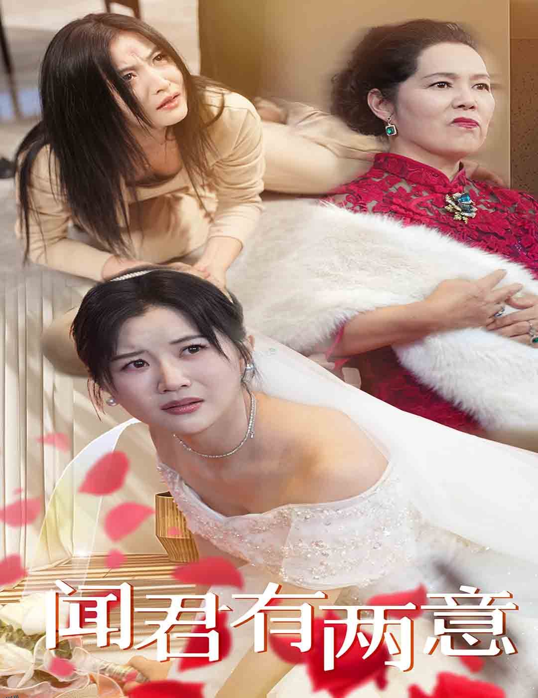 闻君有两意 高清海报