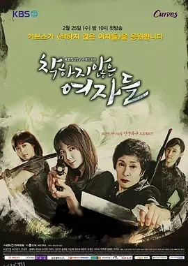 不善良的女人们 海报