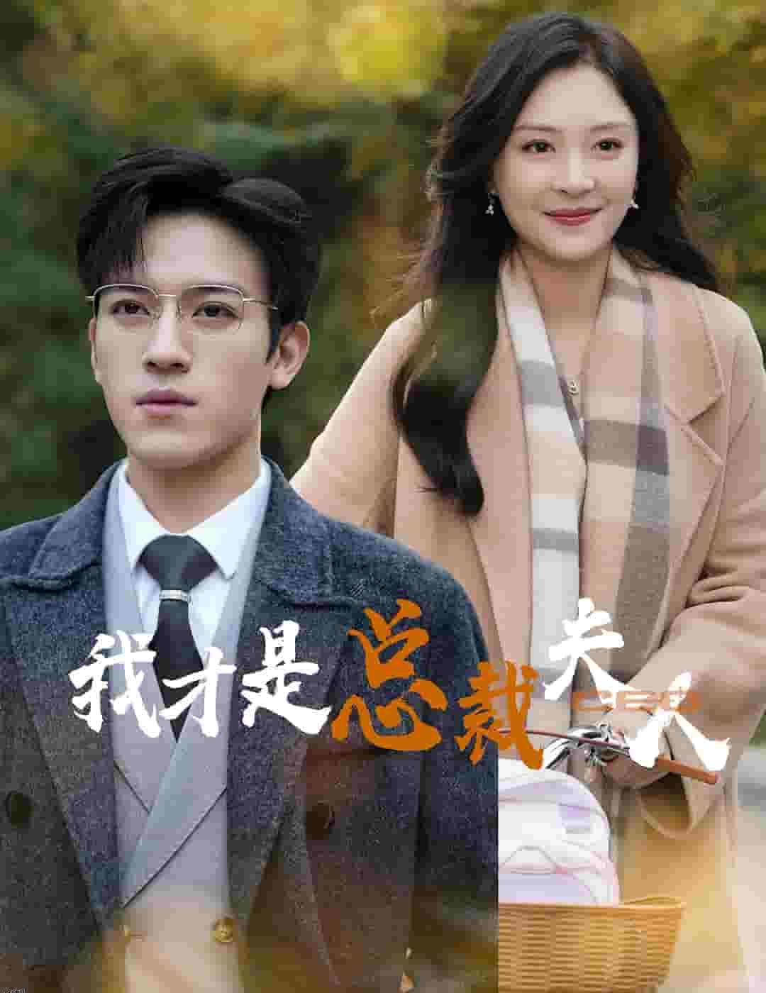 我才是总裁夫人 海报