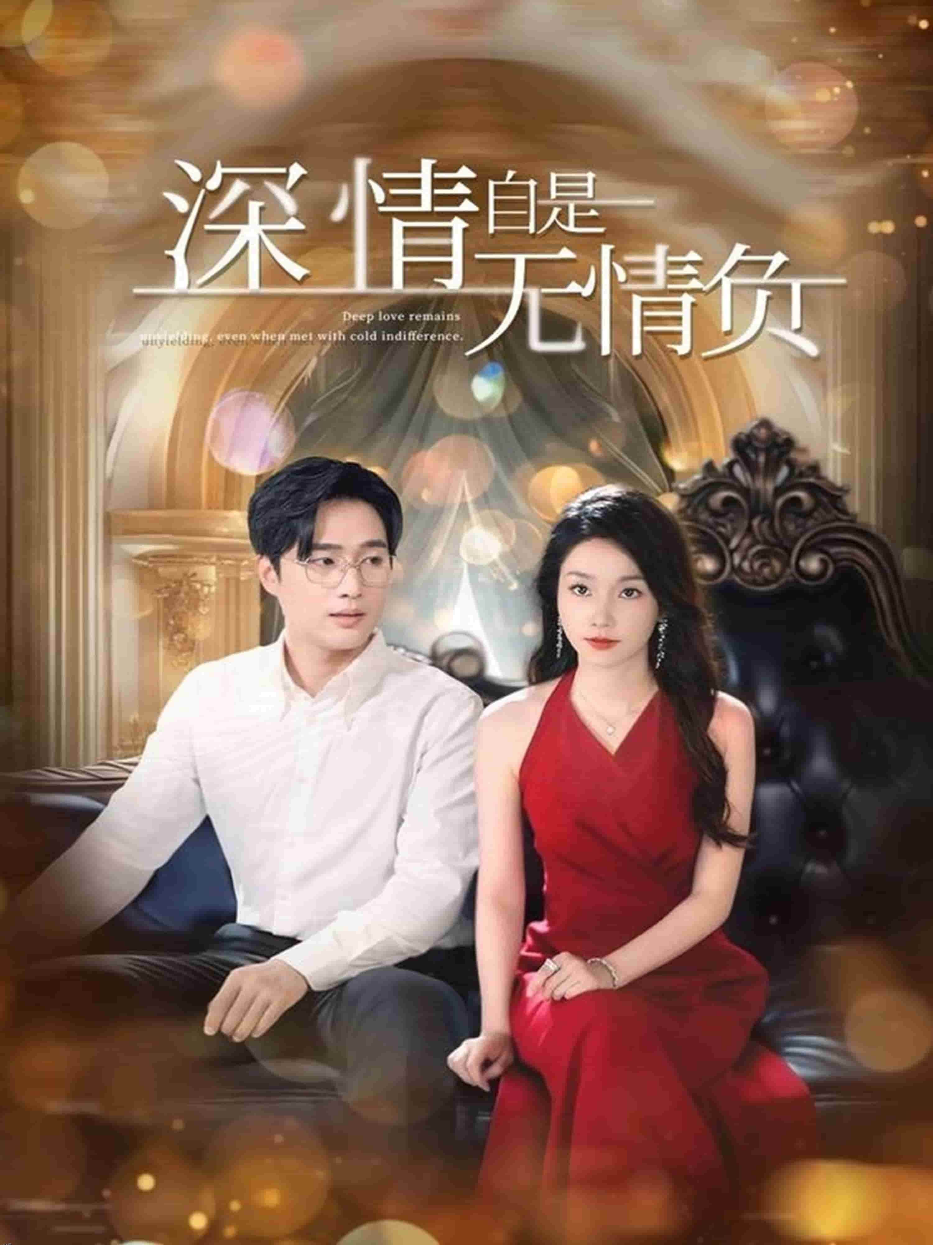 深情自是无情负 海报