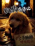 狗狗奇遇记 海报