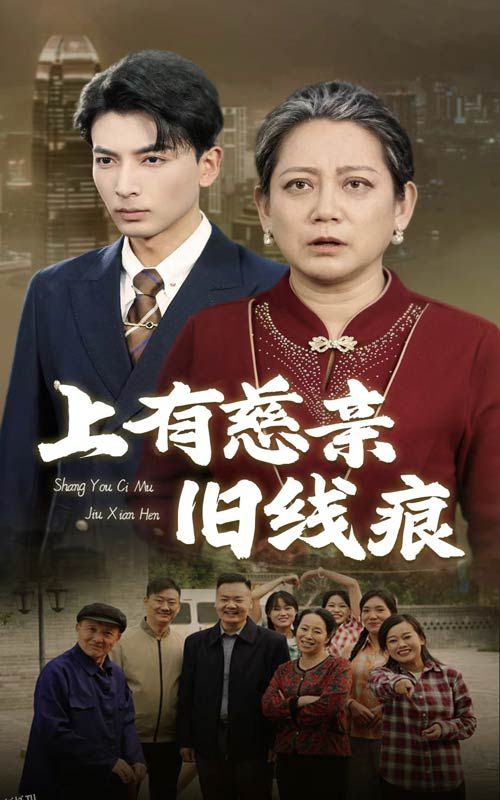 上有慈亲旧线痕 海报