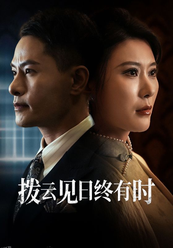 拨云见日终有时 海报