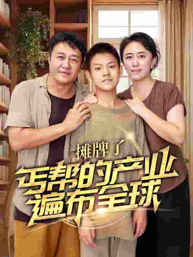 摊牌了，丐帮的产业遍布全球 海报