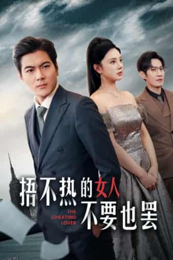 捂不热的女人不要也罢 海报