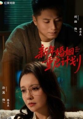 新年婚姻重启计划 海报