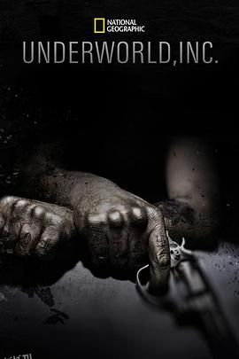 黑市大企业第一季 海报