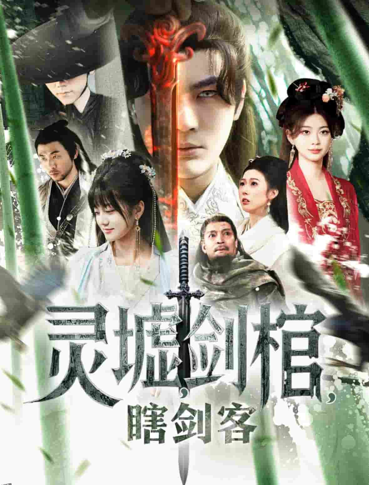 悲情侠客，无情剑 海报