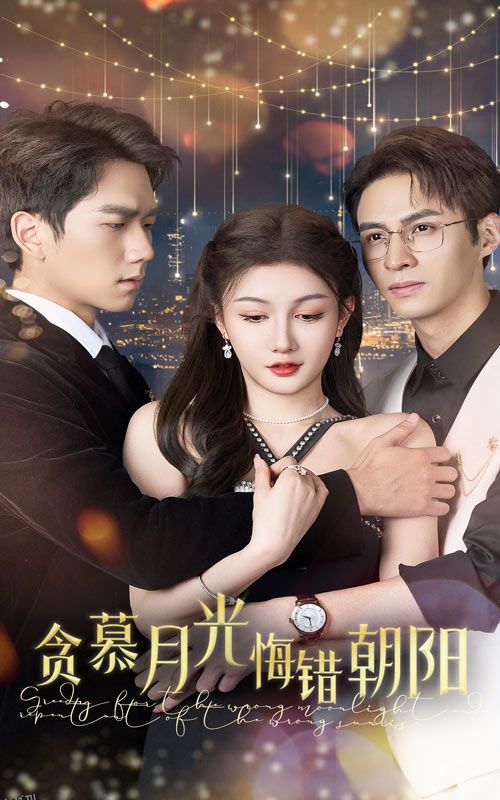 贪慕月光悔错朝阳 海报