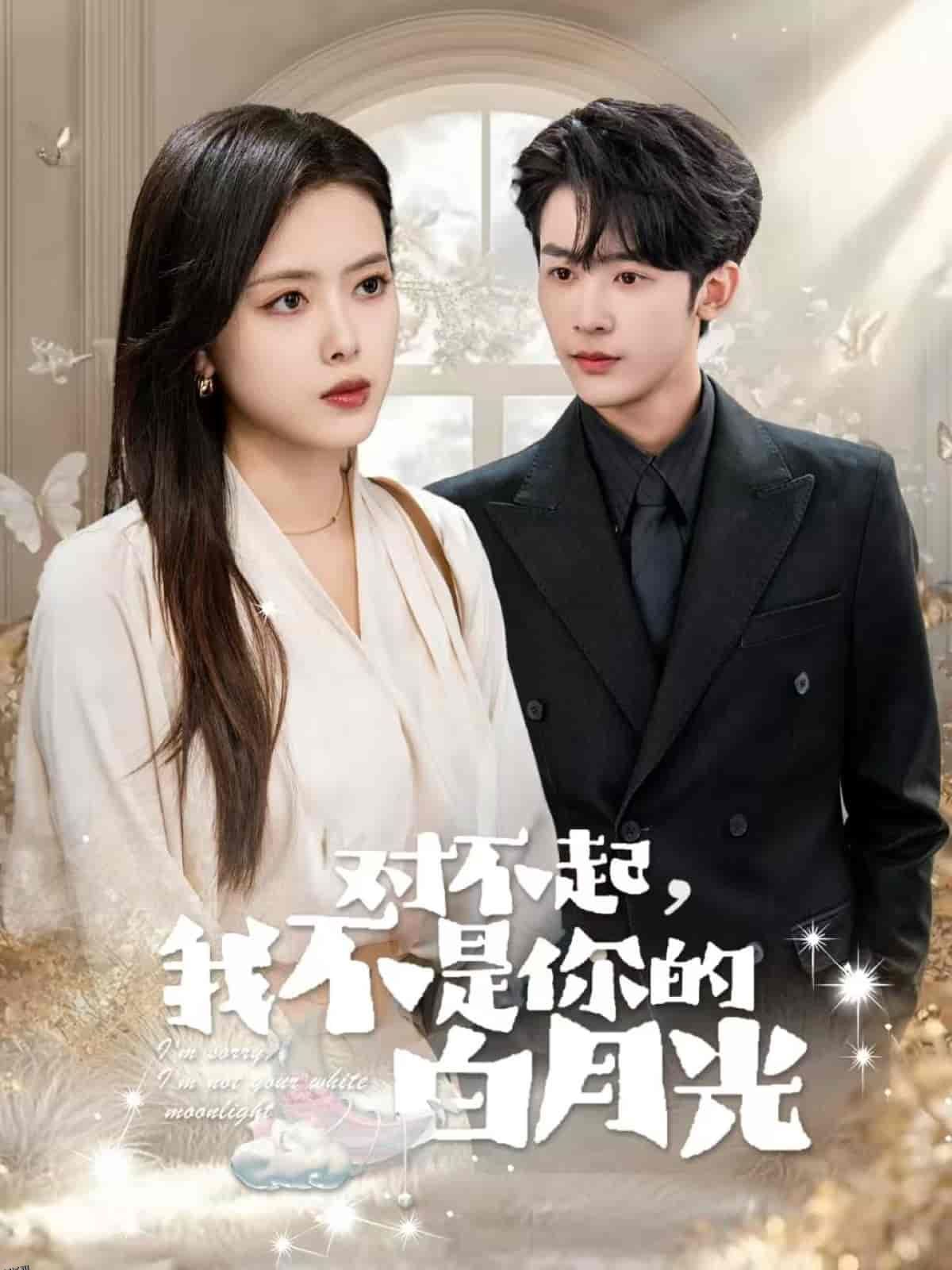 对不起我不是你的白月光 海报