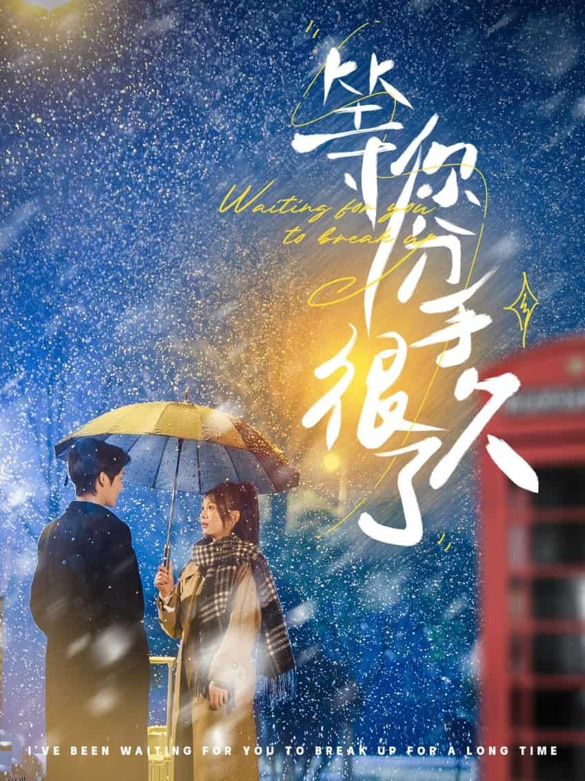 等你分手很久了 海报