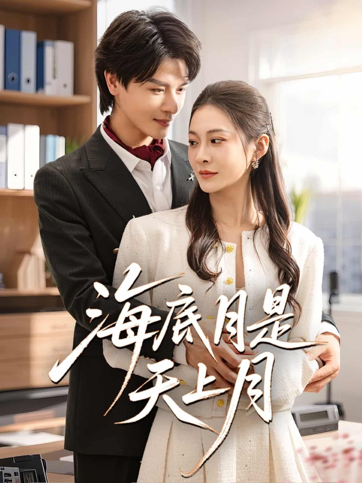 海底月是天上月 海报