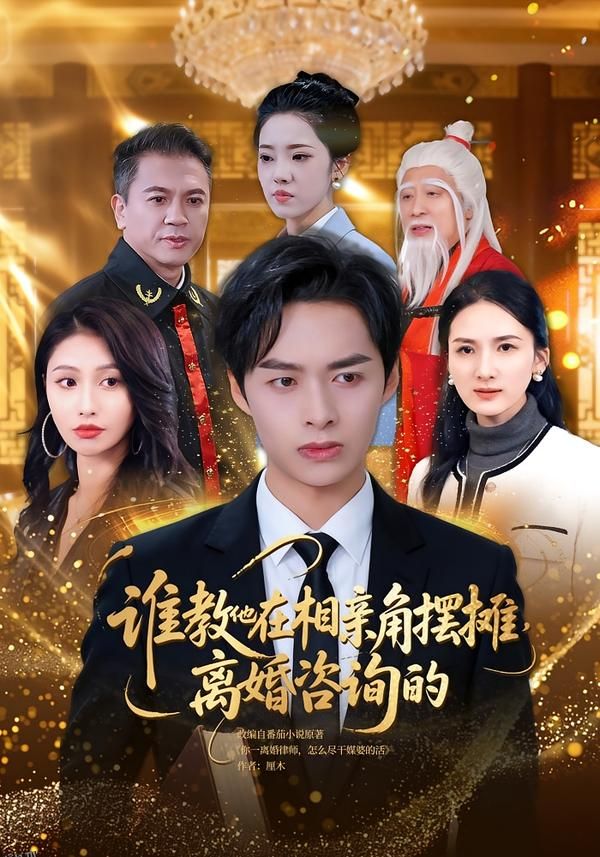 谁教他在相亲角摆摊离婚咨询的 海报