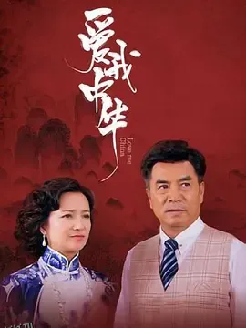 爱我中华 海报