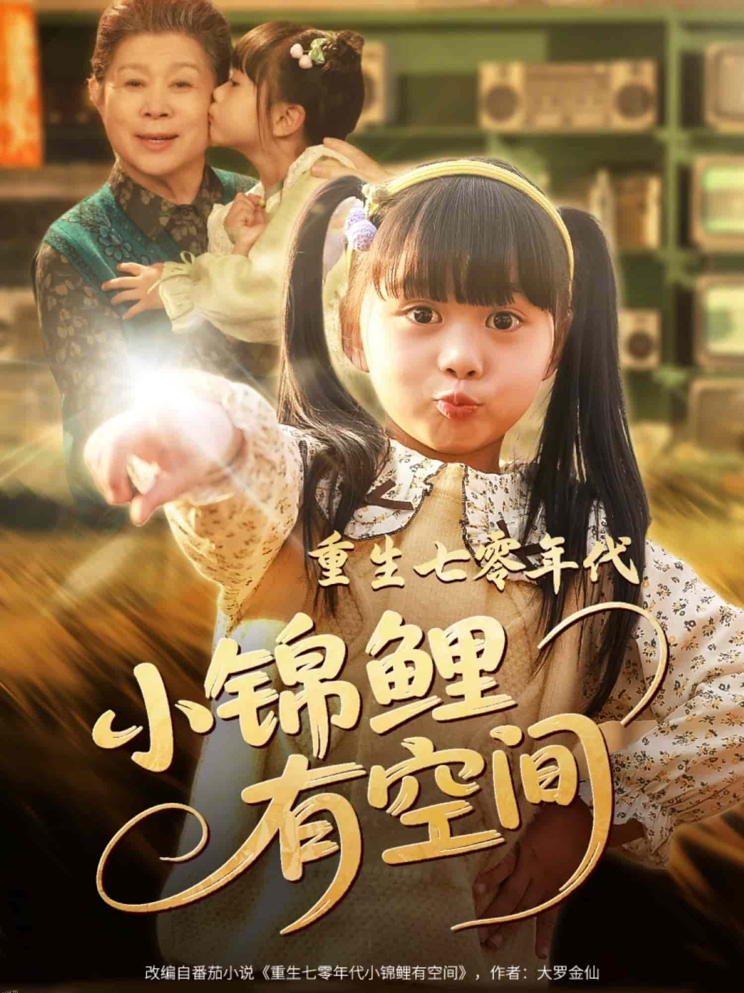 重生七零年代小锦鲤有空间 海报